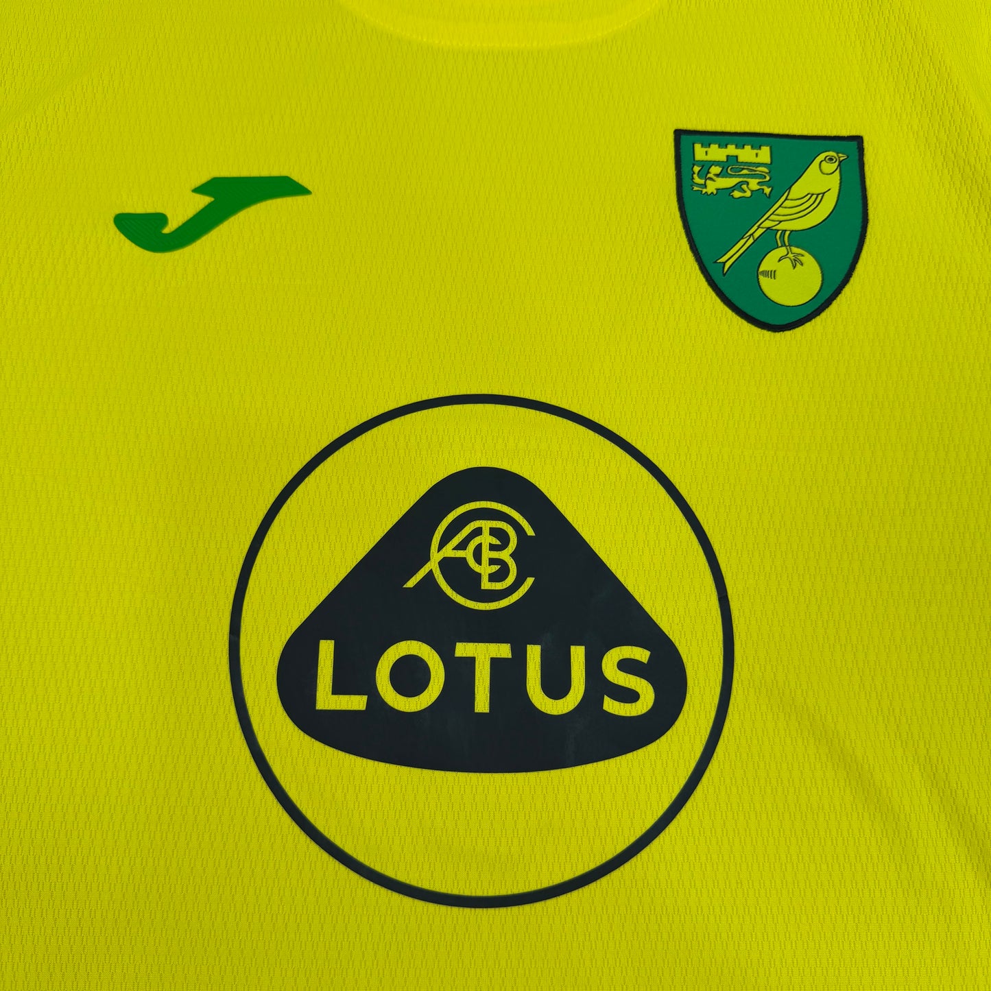 2021/22 Norwich City Home Shirt with Boxset - Tzolis - M