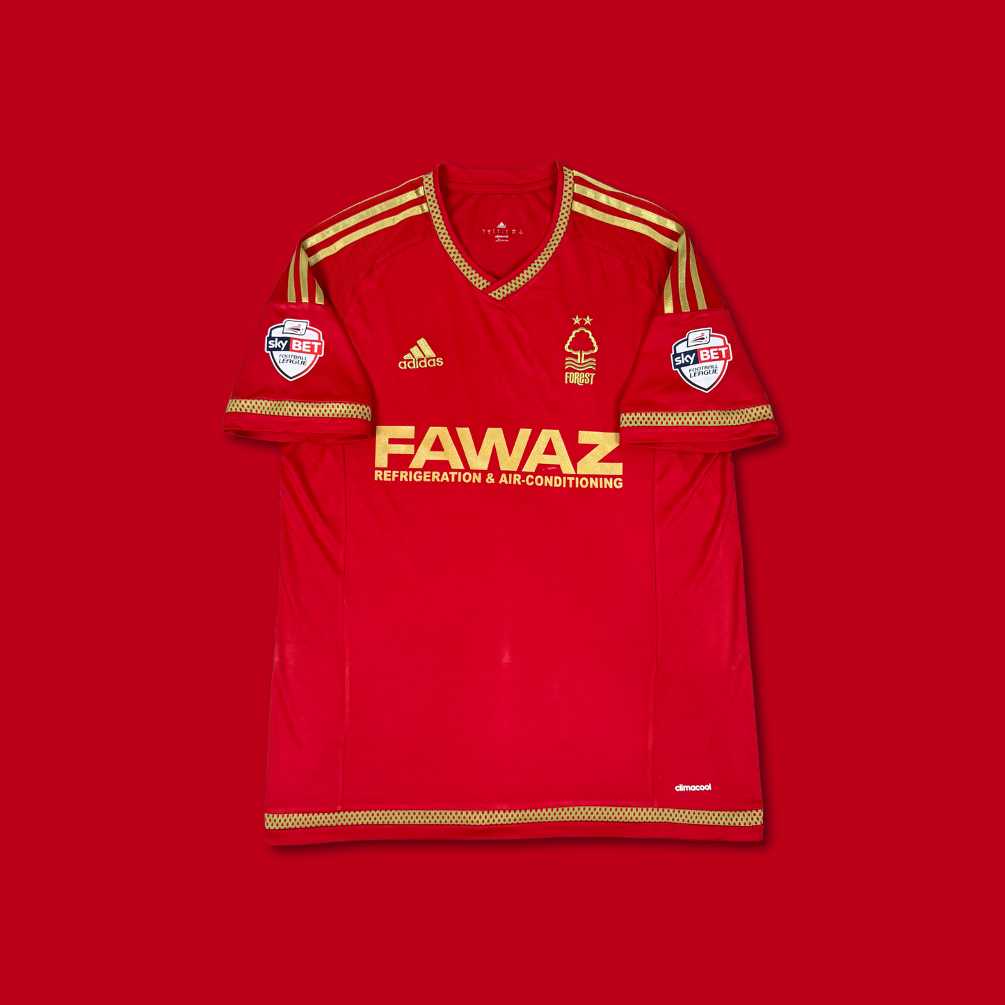 2015/16 Nottingham Forest Home Shirt - Macheda - L