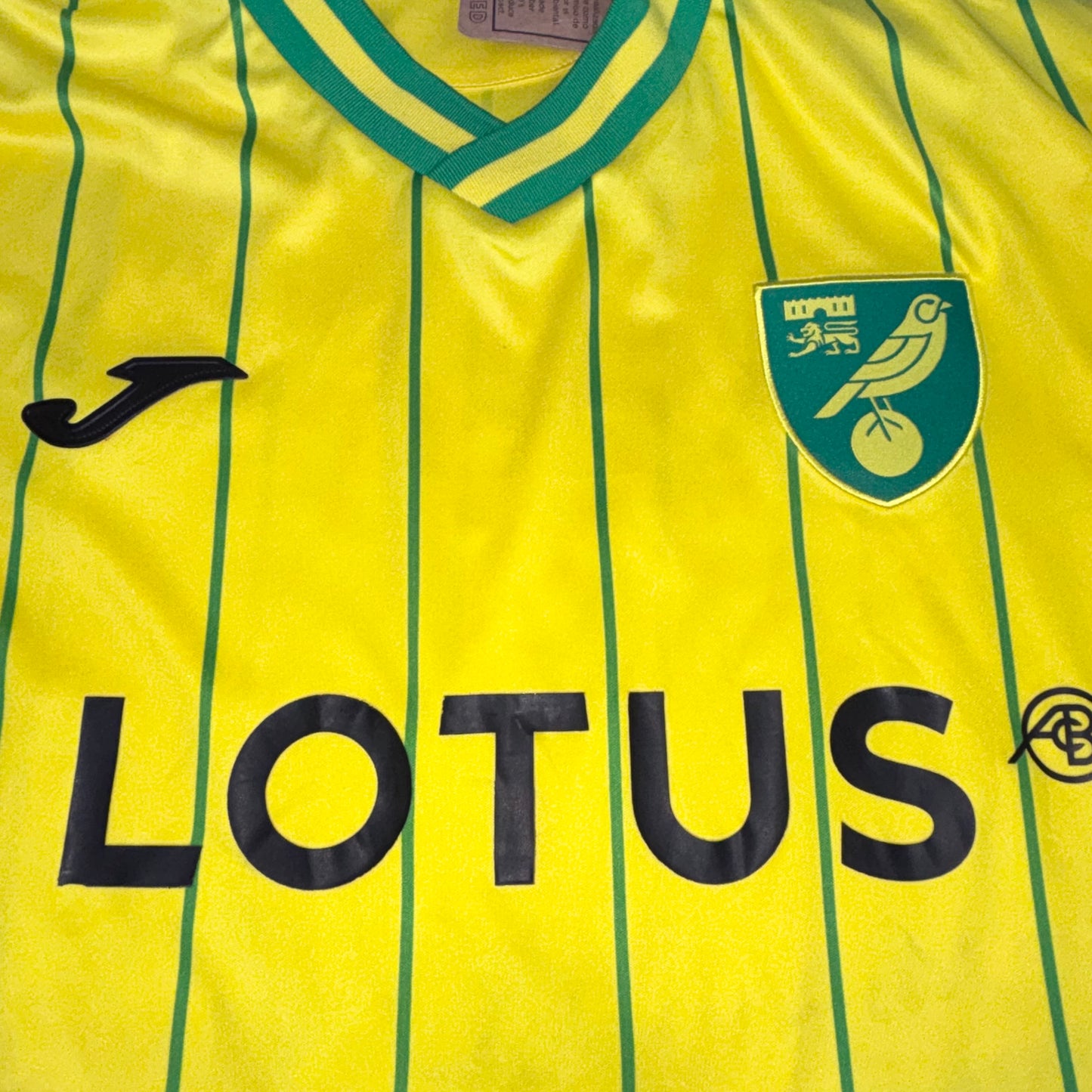2022/23 Norwich City - Pukki - M