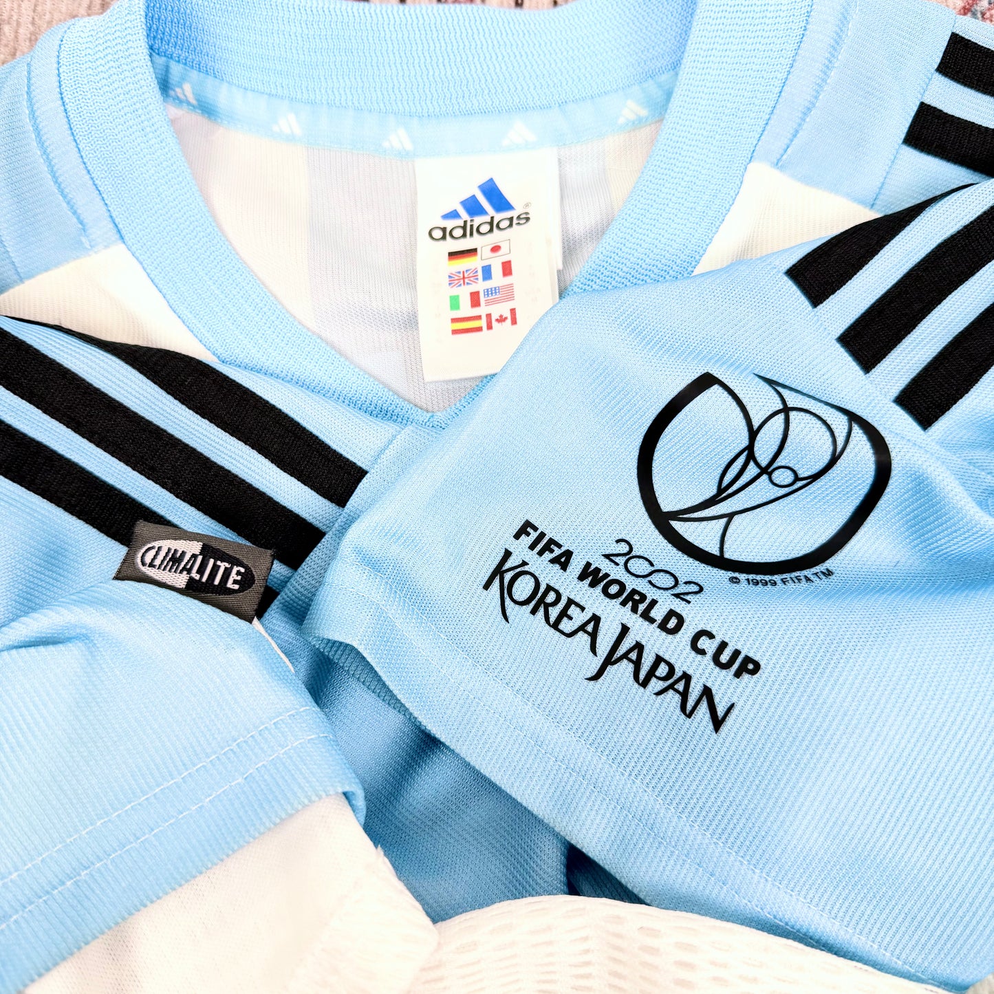 2002/03 Argentina Home Shirt - Batistuta - L
